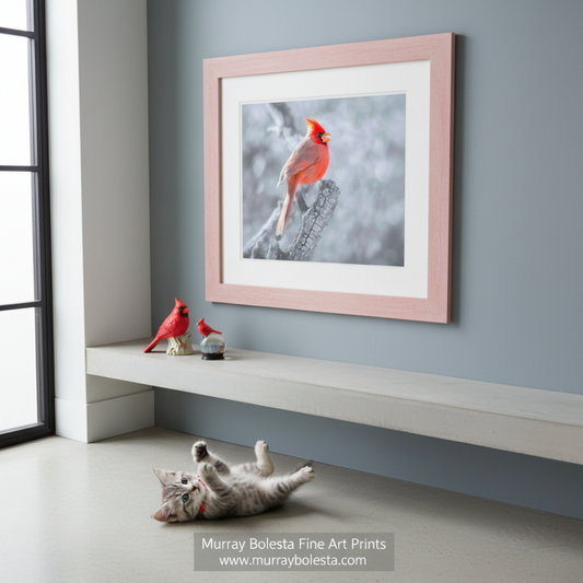 A vibrant red cardinal bird perches on a branch, its bright plumage contrasting against the muted tones of the background. Red Cardinal Art | Winter Bird Photography Print Madera Canyon by Murray Bolesta