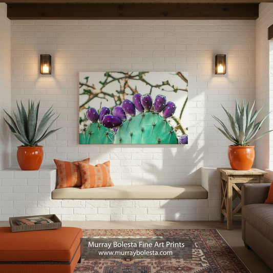A close-up view of a cactus plant with purple flowers blooming on its spines. Prickly Pear Cactus Fruit Picture | Southwestern Wall Decor by Murray Bolesta