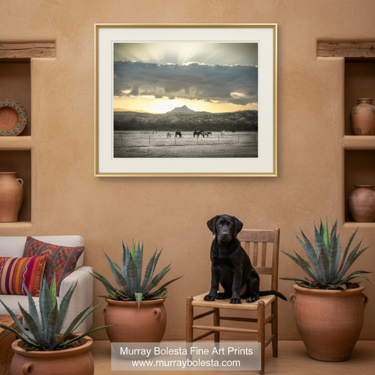 A group of horses grazing in a field, with a mountain range and a dramatic sky in the background, as the sun sets behind the clouds. Horse Sunrise Ranch Pasture | Arizona Equestrian Landscape Art. Arivaca Arizona by Murray Bolesta