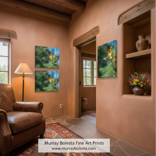 The image is a collage of three photographs depicting hummingbirds hovering near yellow flowers with red and green accents. Arizona Hummingbirds by Murray Bolesta!
