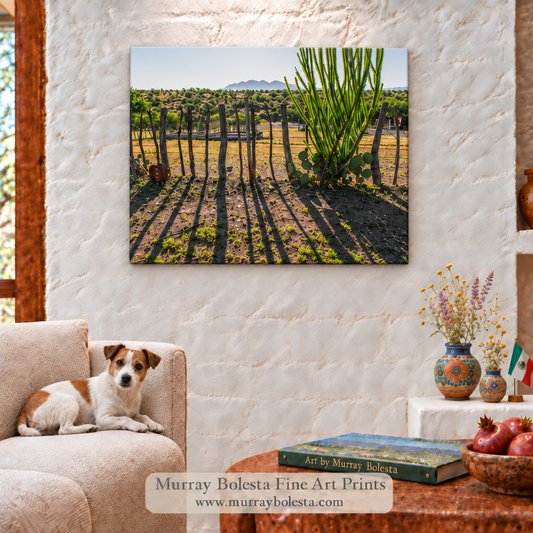Arizona ranch mesquite fence and ocotillo by Murray Bolesta. With Santa Rita Mountains
