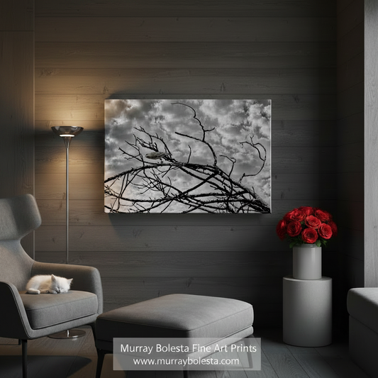 A bird perched on a bare tree branch against a cloudy sky. Surreal Bird Art | Lonely Bird Black & White Photography Print by Murray Bolesta