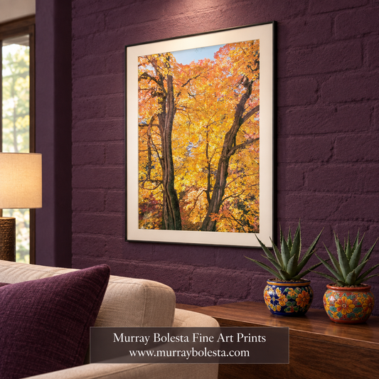 Autumn forest artwork in a rich-purple adobe living room by Murray Bolesta