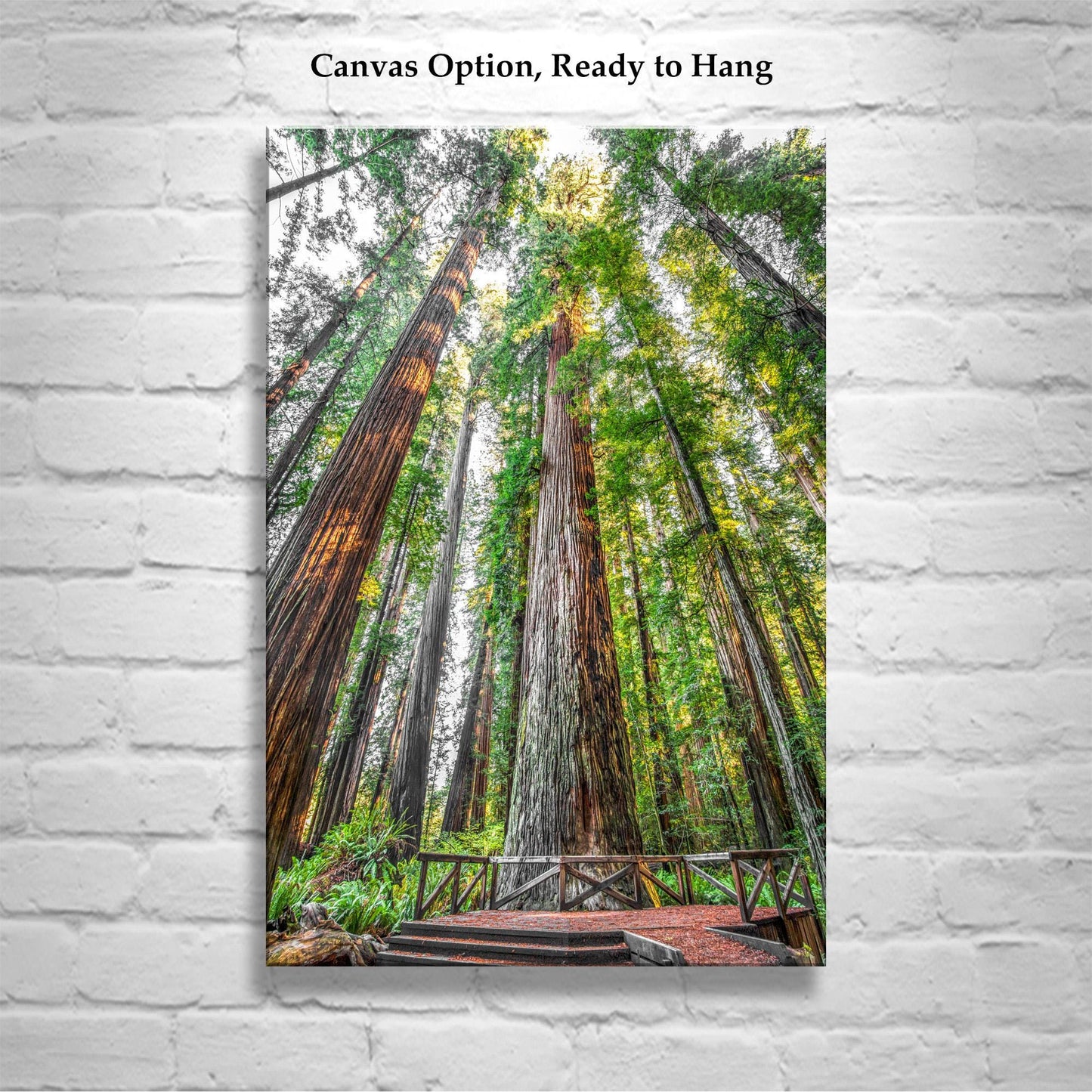 Stout Grove Artwork Print – Jedediah Smith Redwoods Decor | Vertical Art