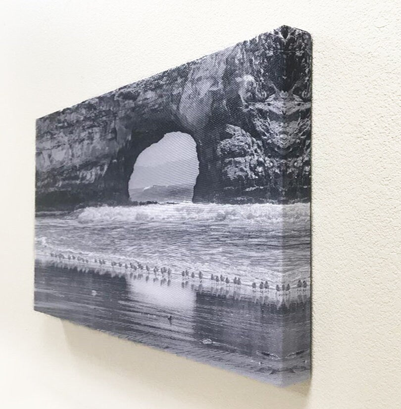 Santa Cruz California Beach Natural Bridge Sea Arch Print with Seabirds