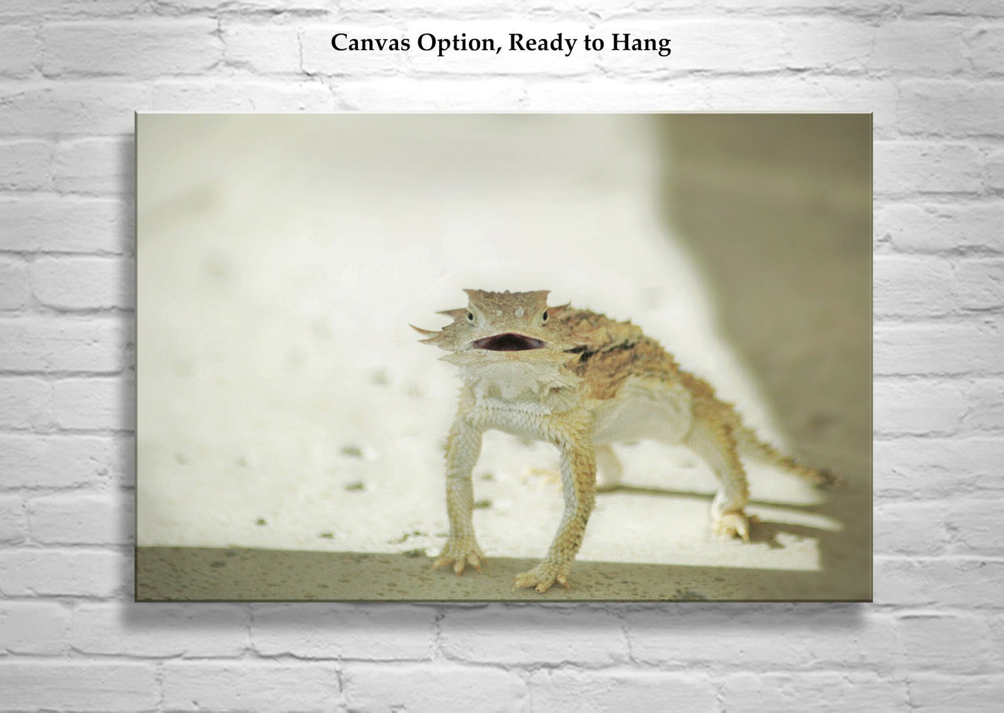 Horned Lizard Wall Art | Arizona Desert Reptile Wildlife Wall Decor
