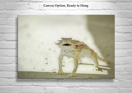 Horned Lizard Print – Arizona Desert Reptile Wall Art