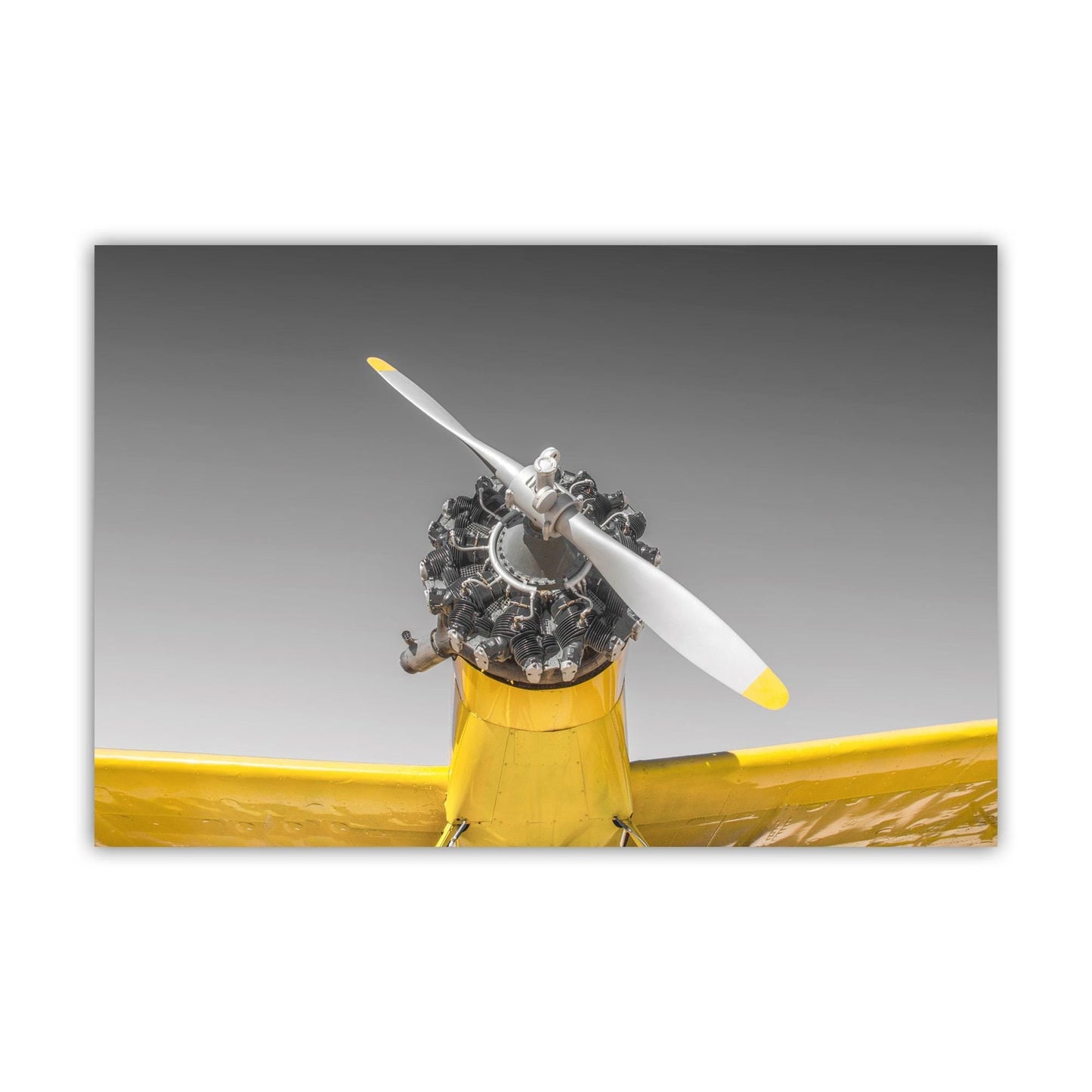 Aviation Wall Decor with Vintage Crop Duster Airplane as Pilot Gift