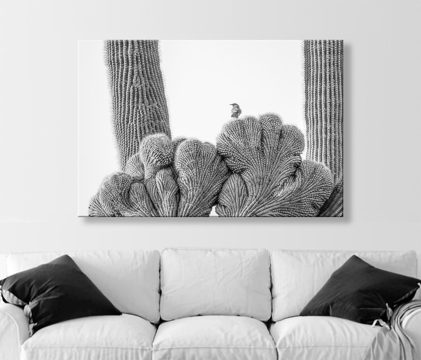 Cactus Photography in Black and White with Wren Bird in Southwestern Desert | Tucson Arizona Wall Art
