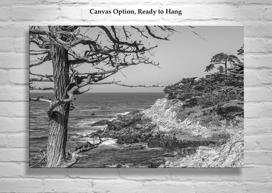 Carmel by the Sea Coast Art Print in Black & White - Monterey CA