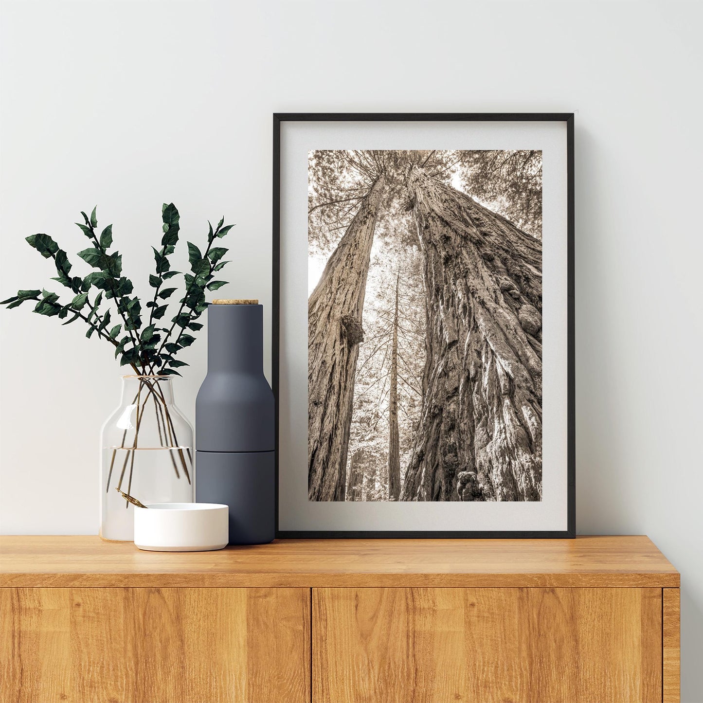 Big Basin Santa Cruz Redwood Forest Art – Sepia Vertical Tree Photo