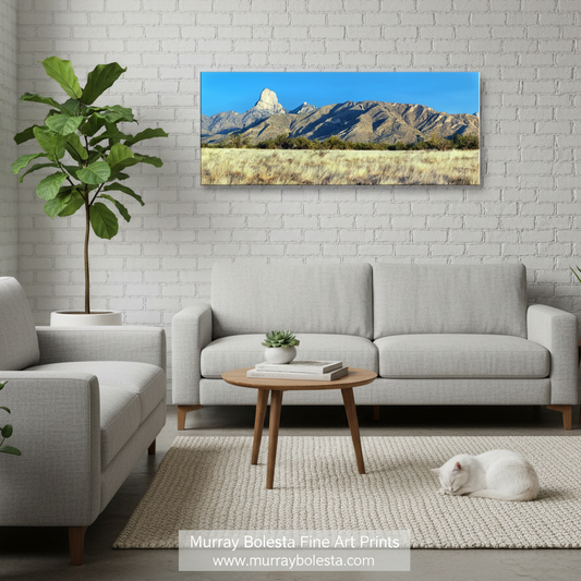Baboquivari Peak Arizona by Murray Bolesta! A rectangular landscape wall art print showing a mountain range under a blue sky above a dry grass field, displayed above a light gray sofa in a modern living room with a white brick wall, plants, and a white cat on the rug.