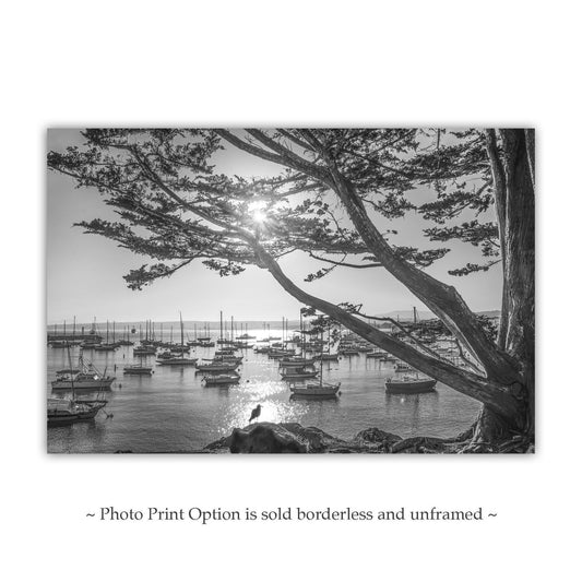 Monterey Bay Sailboat Yacht Harbor Art Print in Black and White