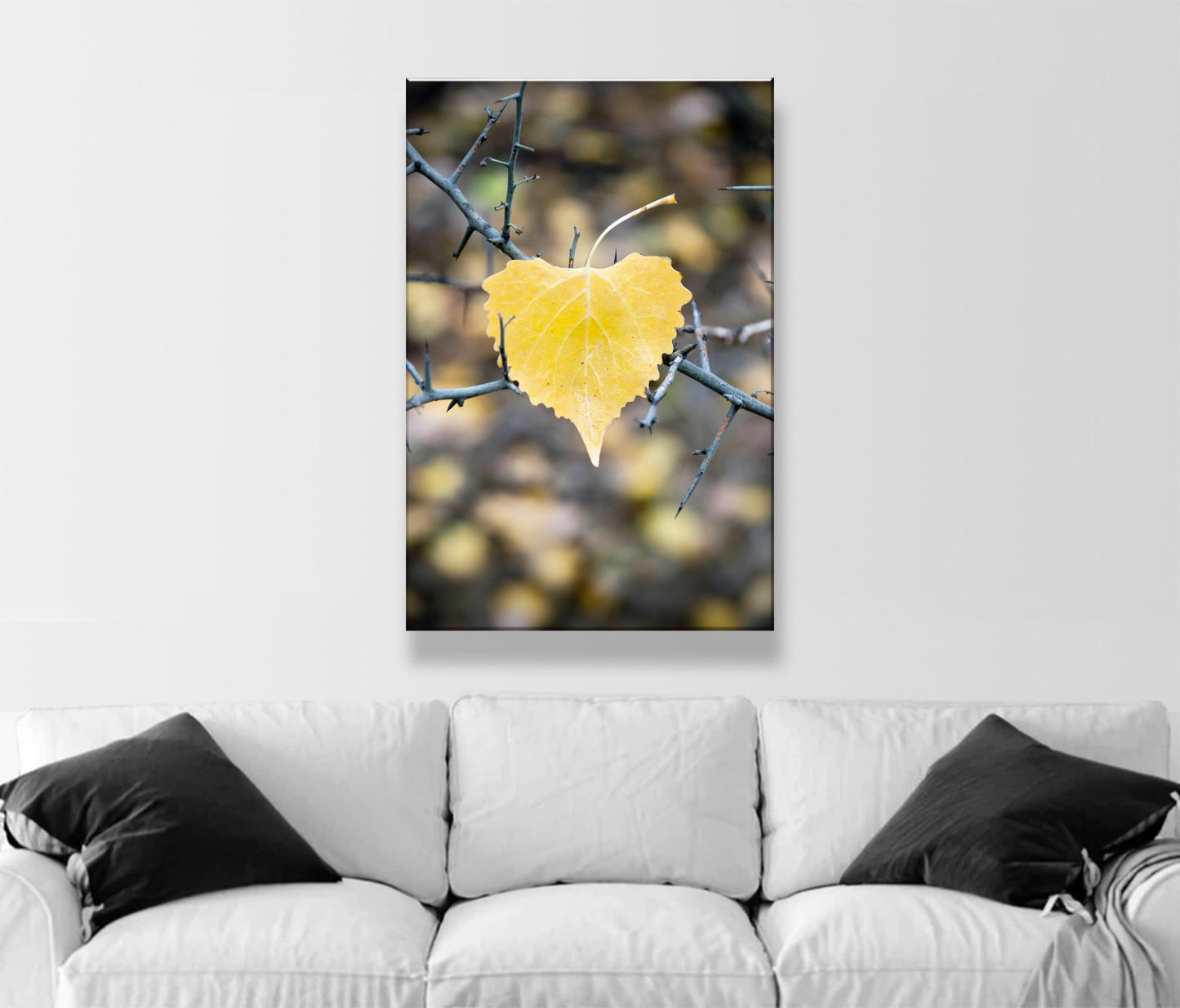 Autumn Cottonwood Leaf Wall Art | Arivaca Creek Arizona Abstract Nature
