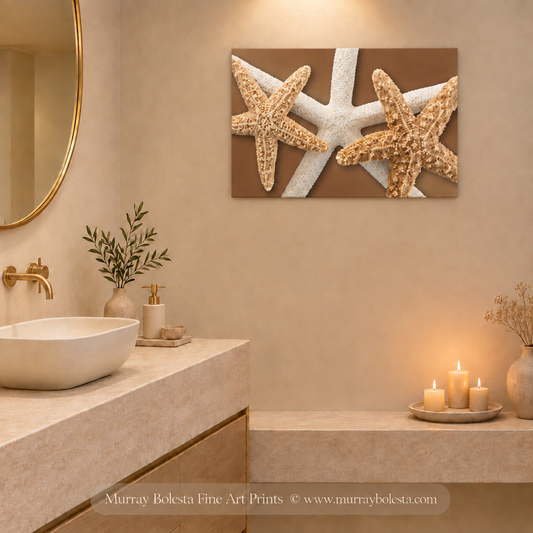 Sea Star artwork by Murray Bolesta