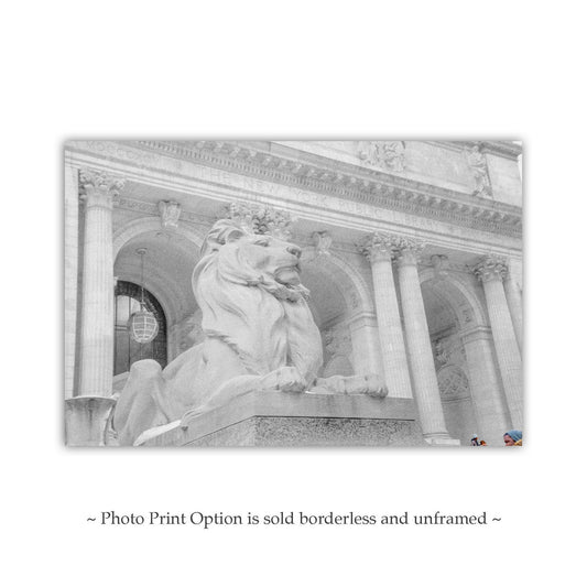 New York Public Library Lion Art Print - Black & White NYC Photo