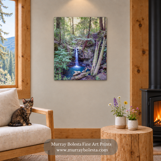 Big Basin Redwoods waterfall artwork by Murray Bolesta