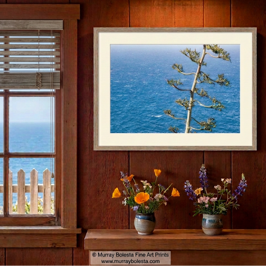 Big Sur agave pacific ocean art print by Murray Bolesta. In living color.