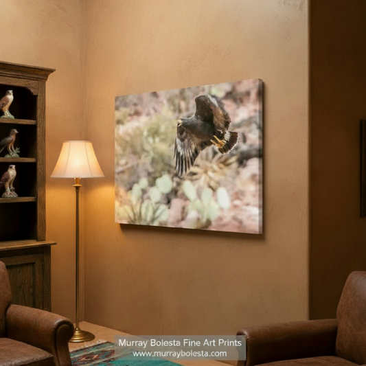 A black bird with outstretched wings is captured in mid-flight, soaring above a rocky landscape with green vegetation. Arizona Blackhawk in Flight - Desert Canyon Bird Wall Art Print by Murray Bolesta