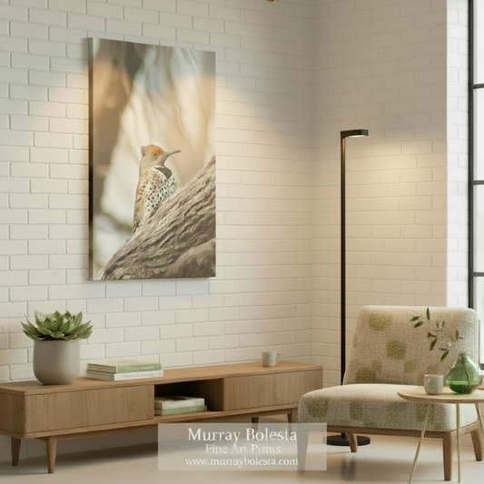 Gilded Flicker Bird Wall Art - Woodlands Avian Nature Print by Murray Bolesta
