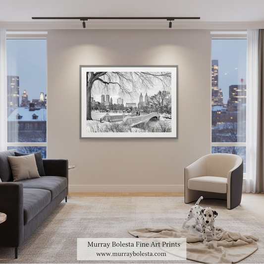 A black and white framed art print of Central Park is displayed on a beige wall in a modern living room setting with a gray sofa, a white accent chair, and a dalmatian dog on a rug. The text 'Murray Bolesta Fine Art Prints' is visible at the bottom.