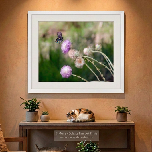 Butterfly art in secret Arizona canyon, art print by Murray Bolesta!