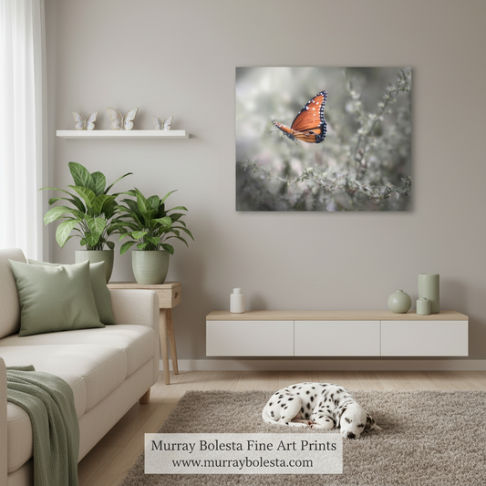 Arizona Butterfly in flight! A framed wall art print showing an orange butterfly on a soft gray floral background, displayed above a white console in a styled living room. A dalmatian lies on the rug below, and a watermark at the bottom reads Murray Bolesta Fine Art Prints with the website murraybolesta.