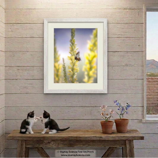 Butterfly and flowering shindagger at Muleshoe Ranch Arizona, art print by Murray Bolesta