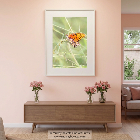 Butterfly artwork from Madera Canyon Arizona, art print by Murray Bolesta