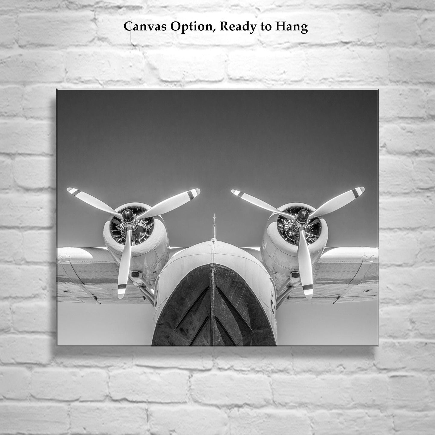 Seaplane Aviation Art Artwork with Flying Boat in Black and White