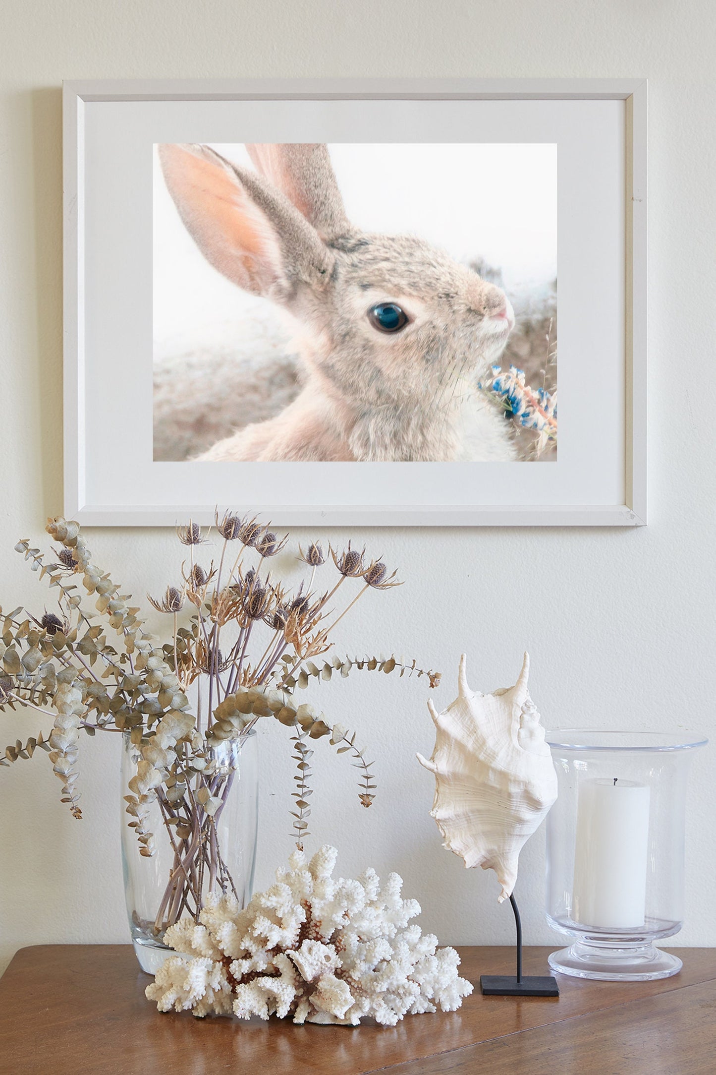 Wild Cottontail Bunny Photography | Fine Art Rabbit Wall Decor