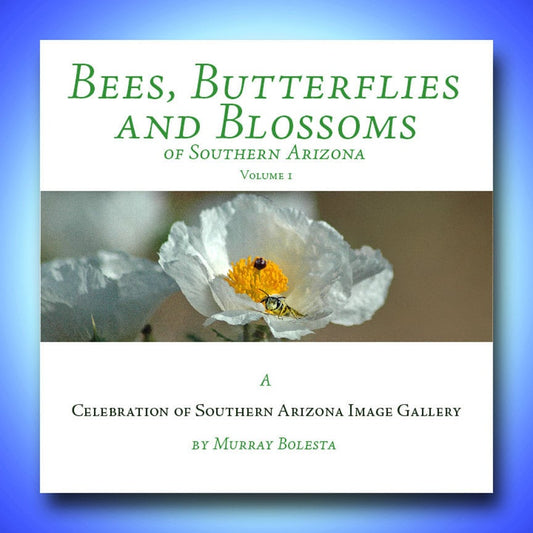 Arizona Nature Photo Book - Bees, Butterflies & Blossoms Gift