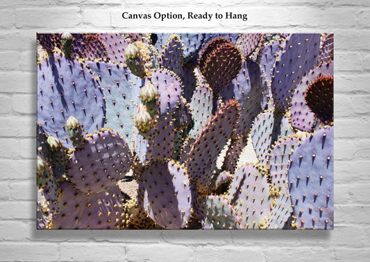 Purple Prickly Pear Cactus Art – Unique Desert Art for Home