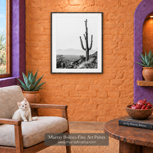 Cactus artwork in B&W at Ironwood Forest Arizona by Murray Bolesta