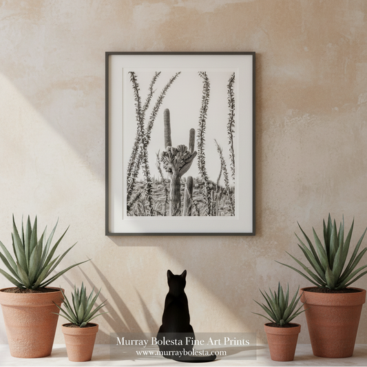 Saguaro National Park East by Murray Bolesta! A framed black and white art print of a saguaro cactus is displayed on a textured beige wall above a black cat sitting on a shelf, flanked by potted succulents. A watermark for 'Murray Bolesta Fine Art Prints' is visible at the bottom.