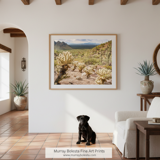 Ironwood Forest National Monument in Arizona by Murray Bolesta! A framed landscape art print of a desert cactus valley hangs on a white wall in a styled home interior. A black dog sits on the terracotta tile floor below the artwork, with a white armchair, wooden table, and potted plants visible in the room.