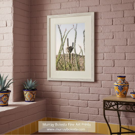 A desert landscape with a cactus plant in the foreground and a hill in the background. Crested Saguaro & Ocotillo Art Print - Arizona Desert Landscape by Murray Bolesta