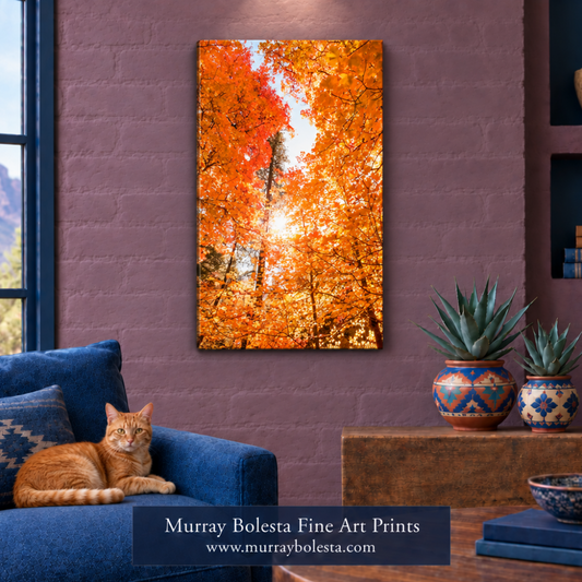 Tucson Catalina Mountains autumn leaves by Murray Bolesta