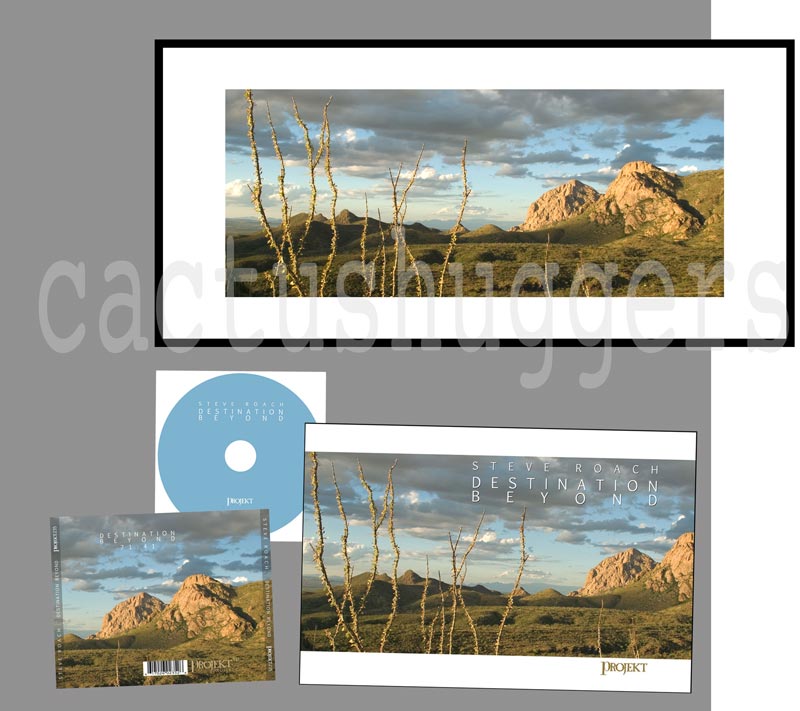 Desert Panoramic Art Print at Tucson Arizona by Murray Bolesta