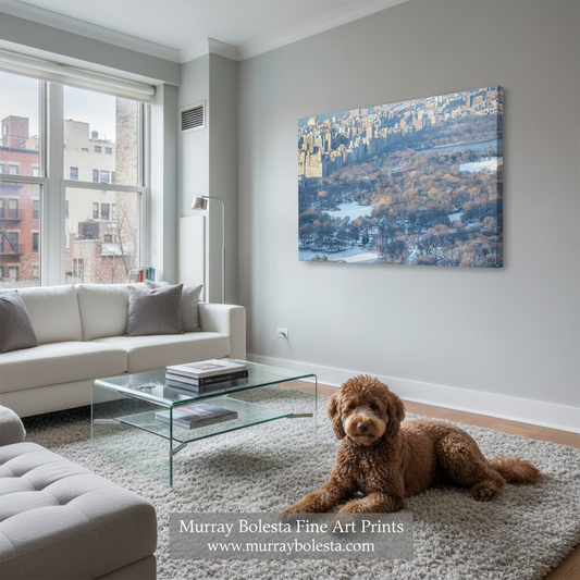 A large rectangular wall art print showing an aerial view of a city park with snowy patches and trees, displayed in a modern living room above a glass coffee table and next to a brown dog lying on a light rug. The print appears to be the product being sold.