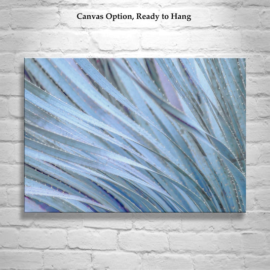 Blue Agave Botanical Art Print - Framed Desert Succulent Wall Decor