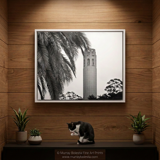 Coit Tower San Francisco black and white art print by Murray Bolesta.