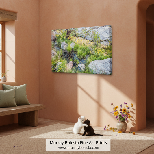 Yellow Columbine Wildflower Art Print | Arizona Desert Canyon by Murray Bolesta!