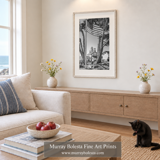 Crescent city art by Murray Bolesta