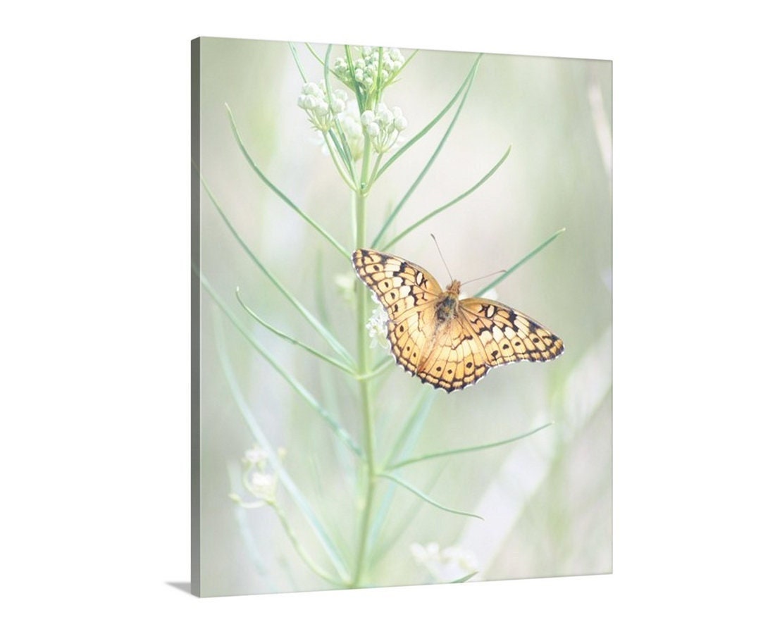 Golden Fritillary Butterfly on Milkweed – Elegant Insect Wall Art