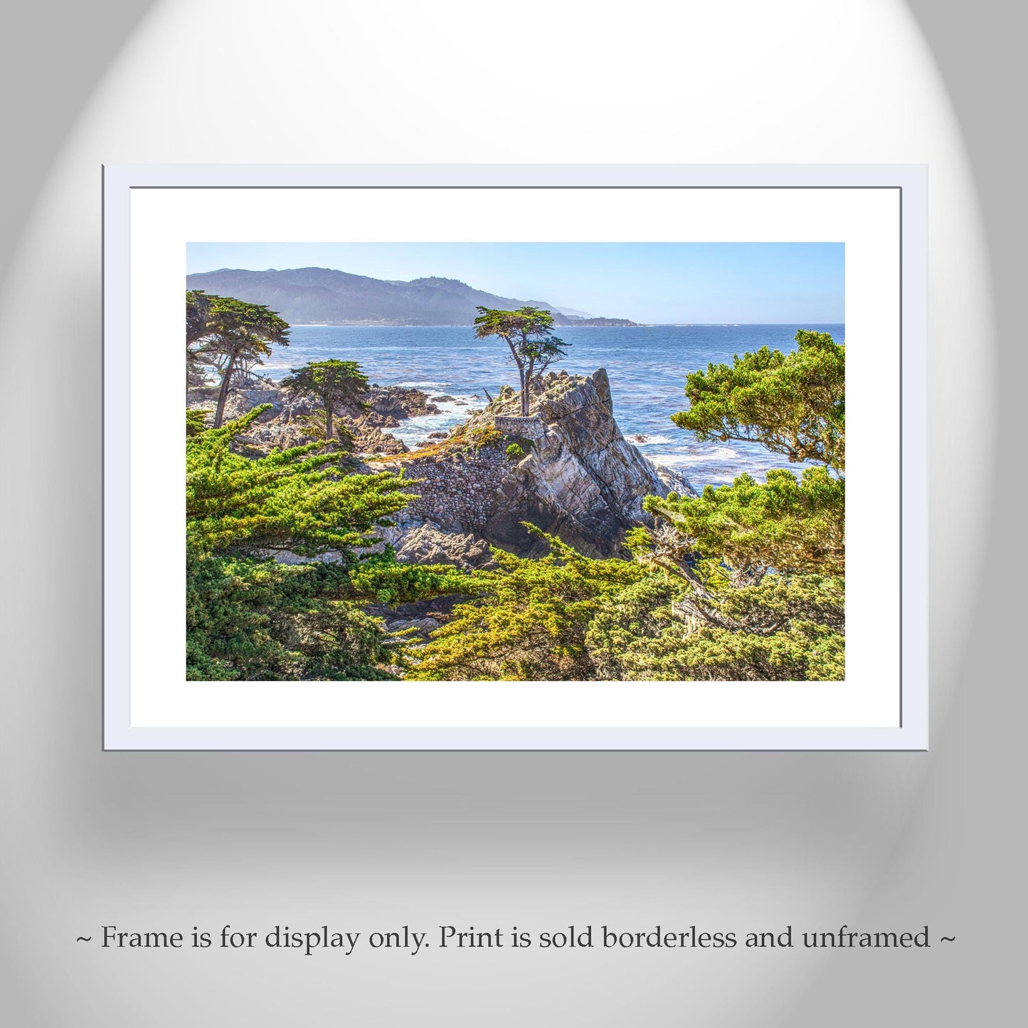 Lone Cypress Tree Carmel by the Sea Photograph at Pebble Beach California | Home Decor Gift for Her | Monterey Peninsula Wall Art