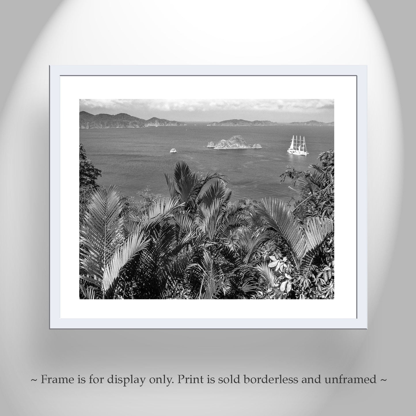Black and White Costa Rica Art as Tropical Themed Wall Print