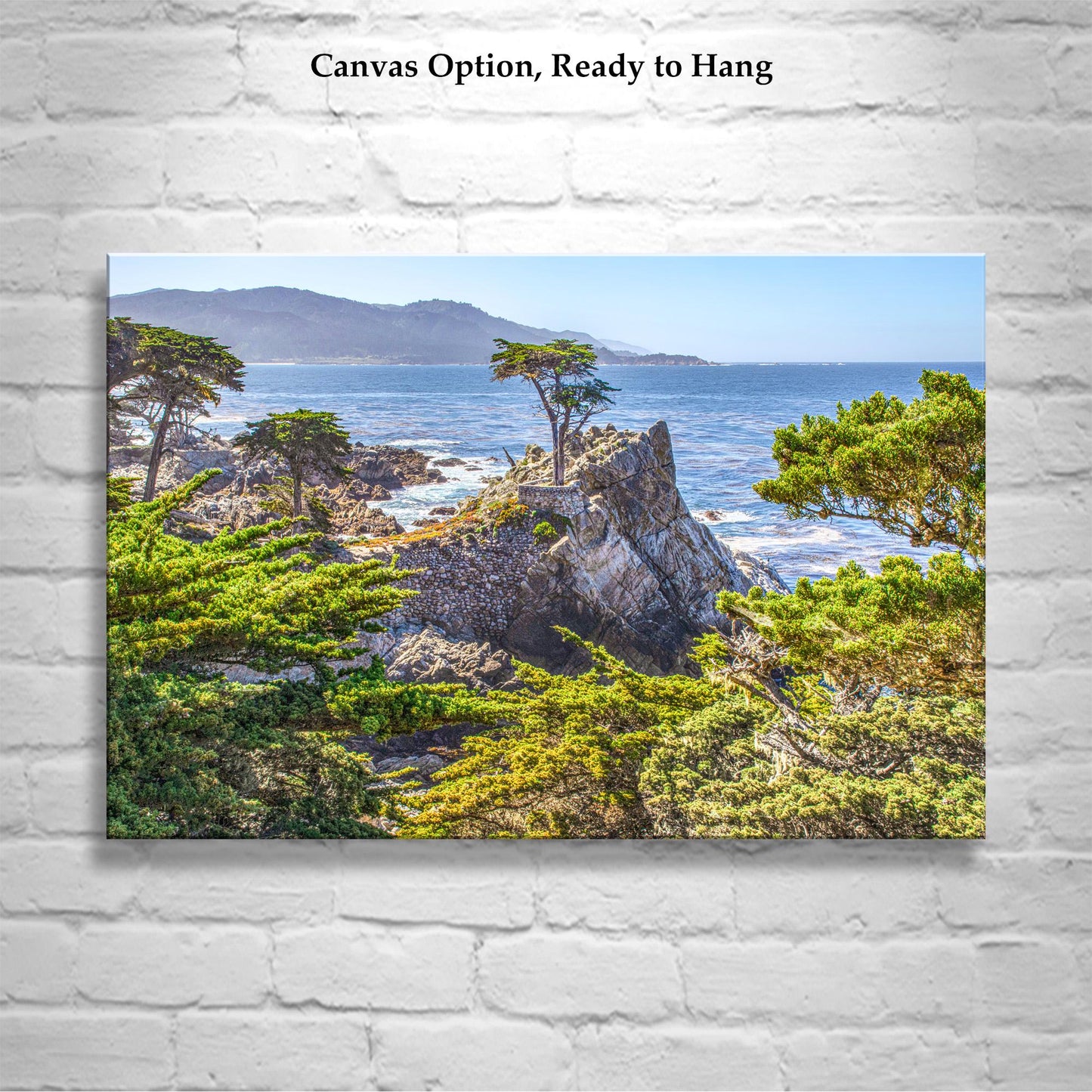 Lone Cypress Tree Carmel by the Sea Photograph at Pebble Beach California | Home Decor Gift for Her | Monterey Peninsula Wall Art