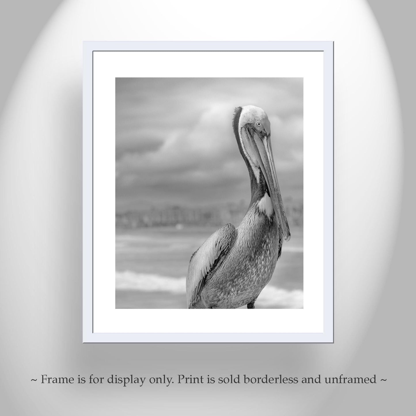 Pelican Art in Black and White | Sea Bird Photography at Oceanside Pier, San Diego California