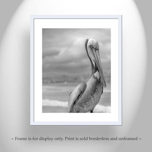 Pelican Print – Black & White Oceanside Pier Wall Art